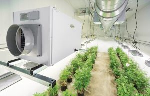 Anden-Hanging-Kit-Grow-Room-Dehumidifier