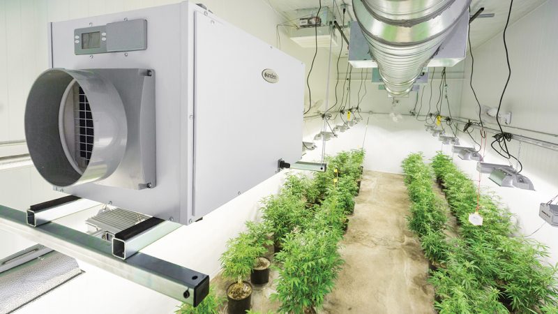 CFM and What It Means for Your Grow Room