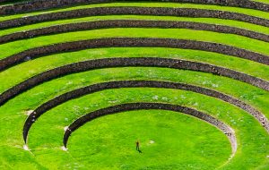 Anden-Cultivation-Header