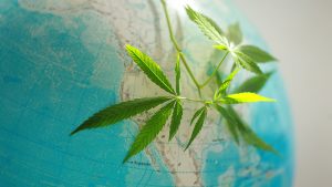 cannabis-legalization-world-map-usa