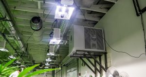 Grow Room Electricity