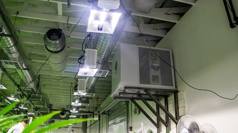 关于安培的一切–种植室用电基础知识