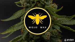 right strains