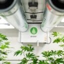 Système de ventilation portant l'inscription « anden » avec des conduits argentés, entouré de plantes vertes dans un intérieur lumineux.