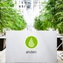 Des plants de cannabis verts tapissent un bâtiment intérieur lumineux, où trône une enseigne blanche affichant le logo « anden ».