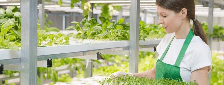 Une femme vêtue d'un tablier vert s'occupe de légumes frais dans une serre moderne et lumineuse remplie de plantes éclatantes.
