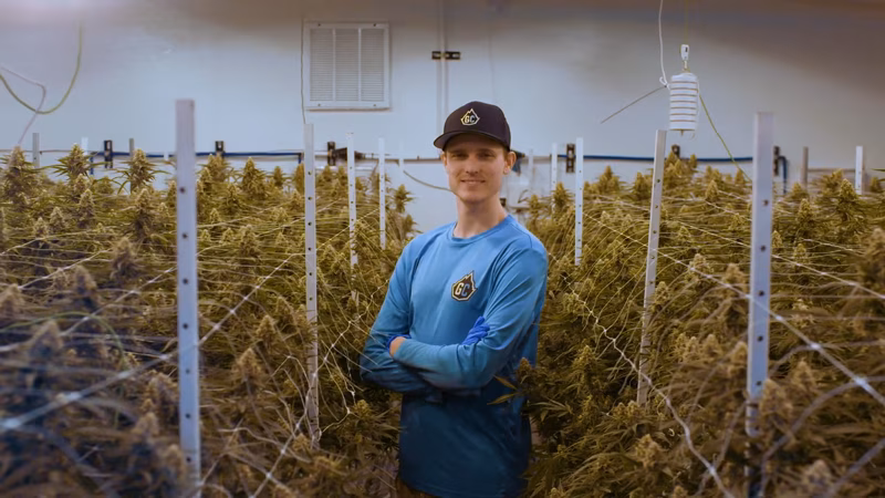 The Great Potency Scam