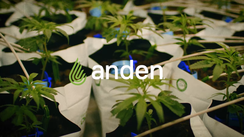 Spotlight on Steam Humidification