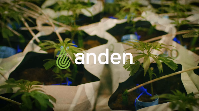 Welcome to Paul’s Boutique