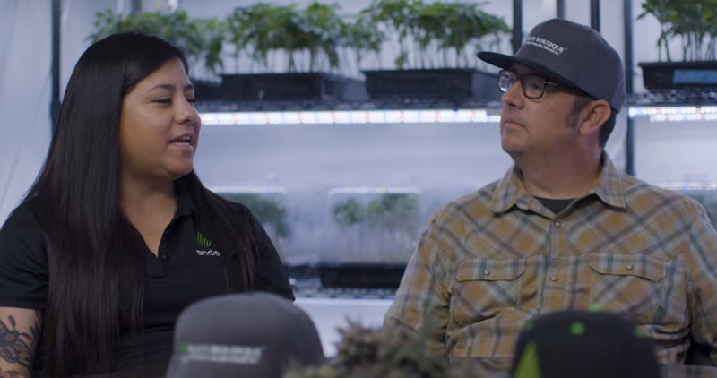 Managing Multiple Strains