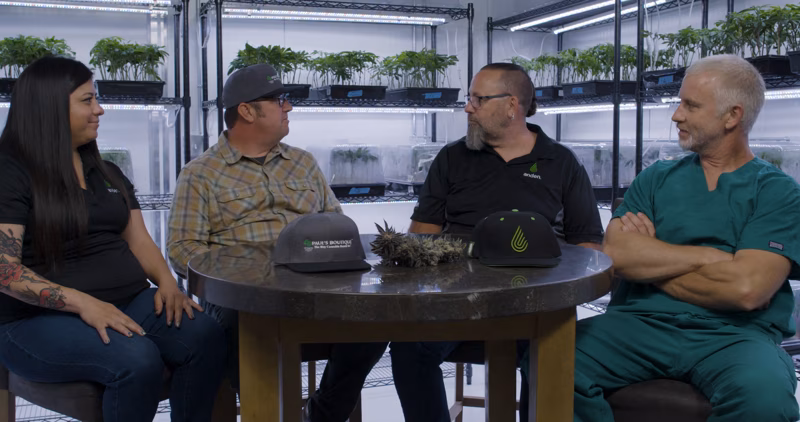 Paul’s Boutique & Clean Room Engineering