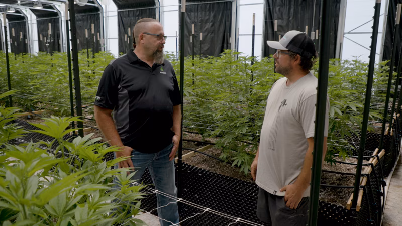 The Greenhouse Operation