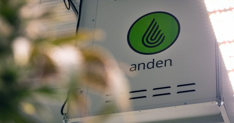 Logo vert avec un motif végétal stylisé et le mot « anden » sur fond blanc, partiellement masqué par du feuillage.