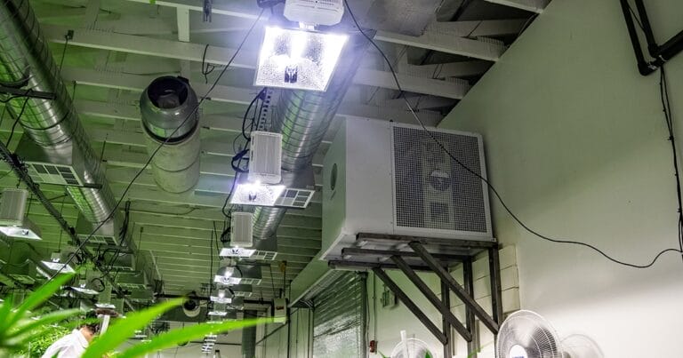 Ceiling with ventilation ducts, lights, and cooling units in a greenhouse environment, with green plants in the foreground.