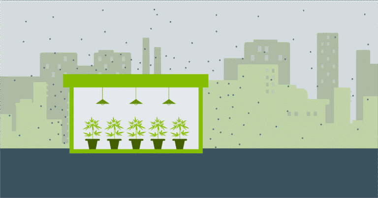 Greenhouse with potted plants under hanging lights, set against a city skyline with a muted color palette.