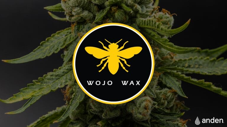 Gros plan d'un plant de cannabis avec un logo circulaire représentant une abeille jaune et le texte « WOJO WAX » sur fond noir.