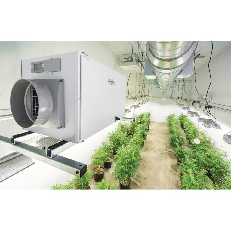 Système de ventilation au-dessus de rangées de plantes vertes et saines dans un environnement de culture intérieur bien éclairé.